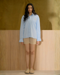 Le Chemise Raye (Bleu)