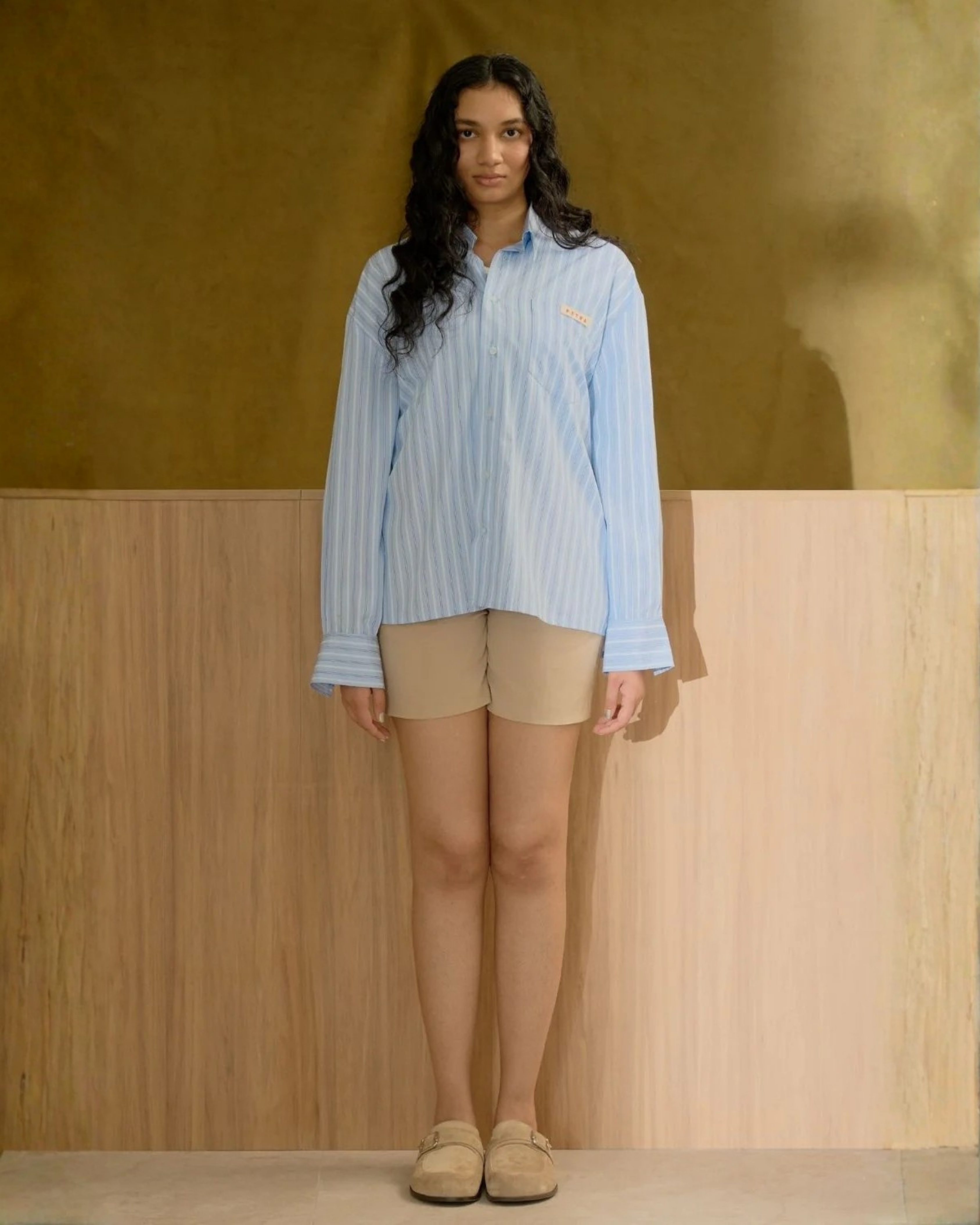Le Chemise Raye (Bleu)