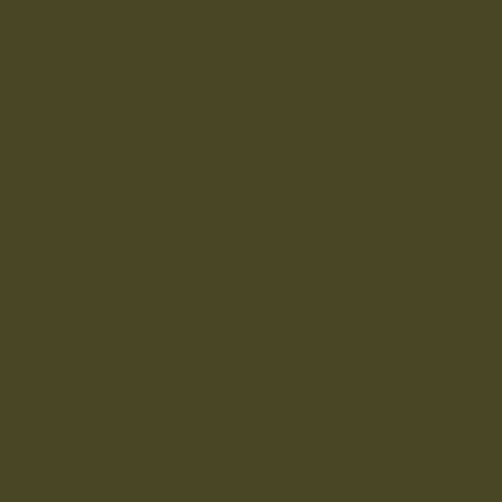 Feirani Kurung Kebaya-Olive